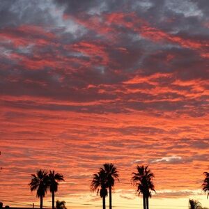 Meet your Posher, Cristina